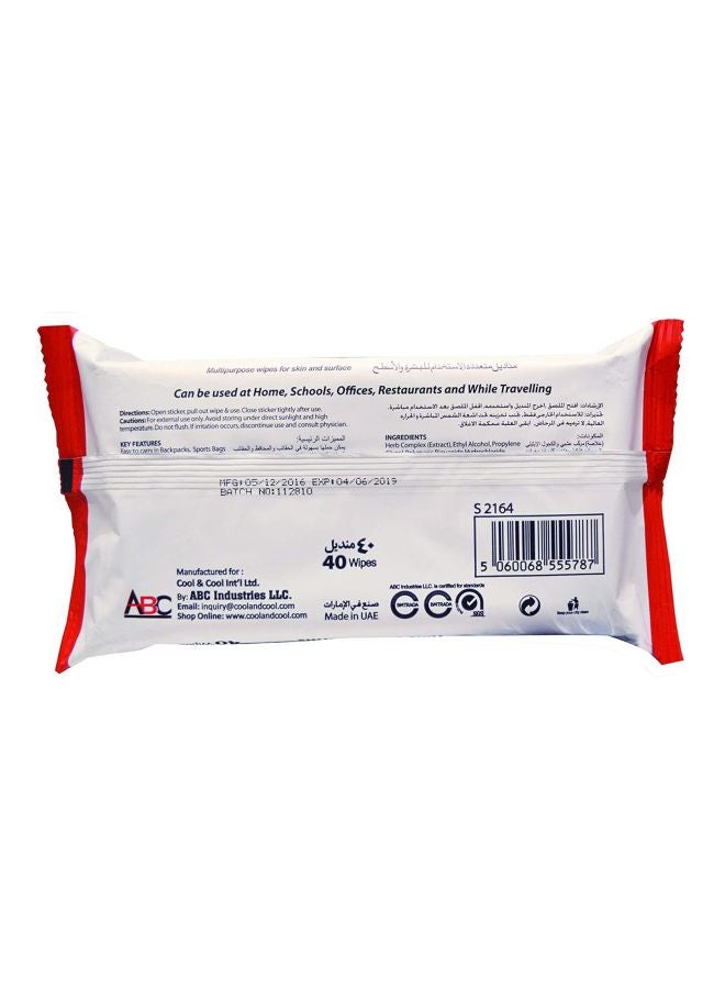 Cool & Cool Sanitizing Wipes 40 Count
