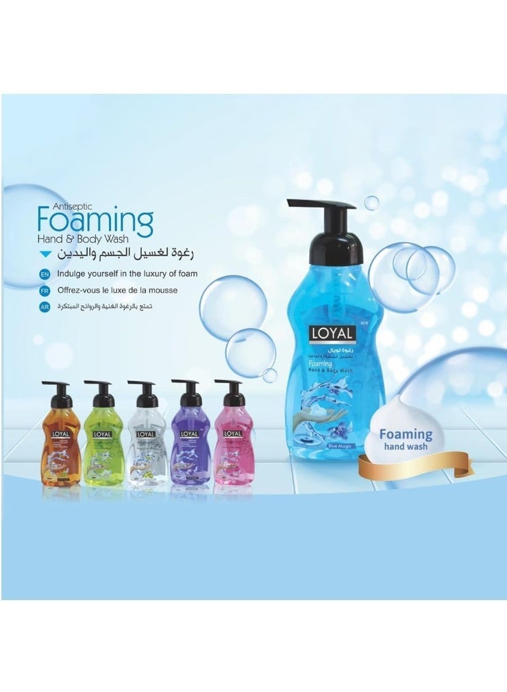 Loyal Purple Mystery Scent Foaming Hand Wash 500 ML