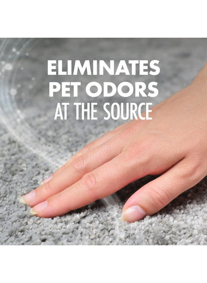 arm & hammer, carpet odor, carpet odor eliminator, cats fresh, cats fresh scent, deep cleaning, fresh carpet, fresh carpet odor, fresh scent, let dry, let sit, odor eliminator, pet fresh, pet fresh carpet, pet hair