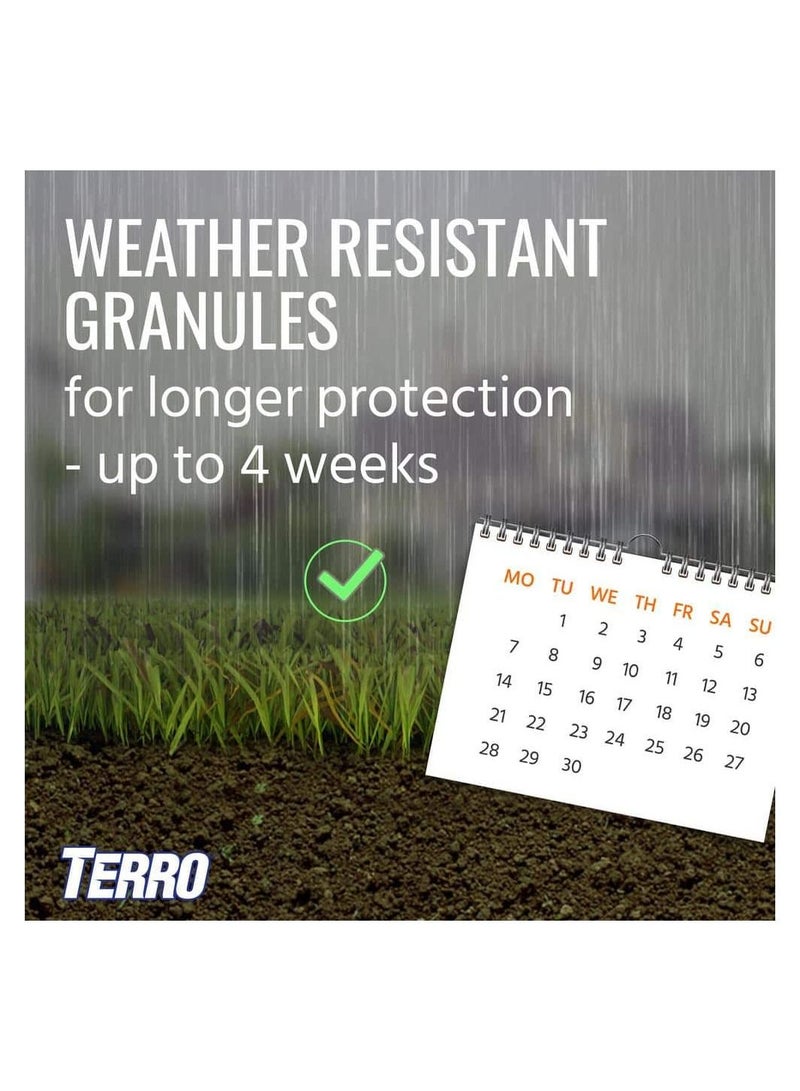 Outdoor Ant Bait Plus by Terro - Ant Control Solution