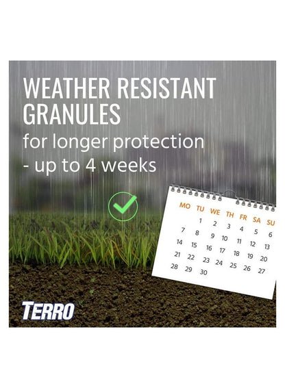 Outdoor Ant Bait Plus by Terro - Ant Control Solution