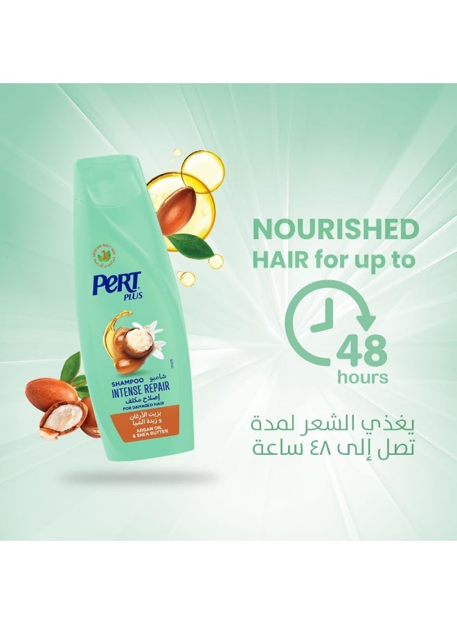 Intense Repair Conditioner 360 ML PERT PLUS