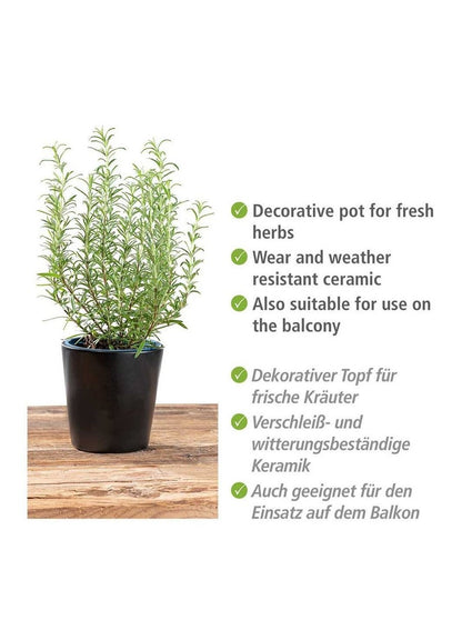 Wenko Kuro Ceramic Herb Pot - Premium Garden Accessory