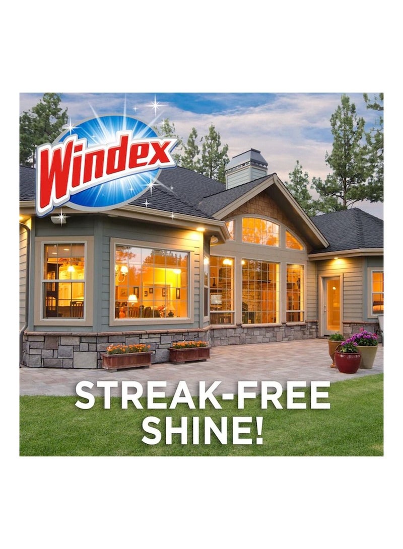 Windex Outdoor Glass Cleaner 128-Fl Oz