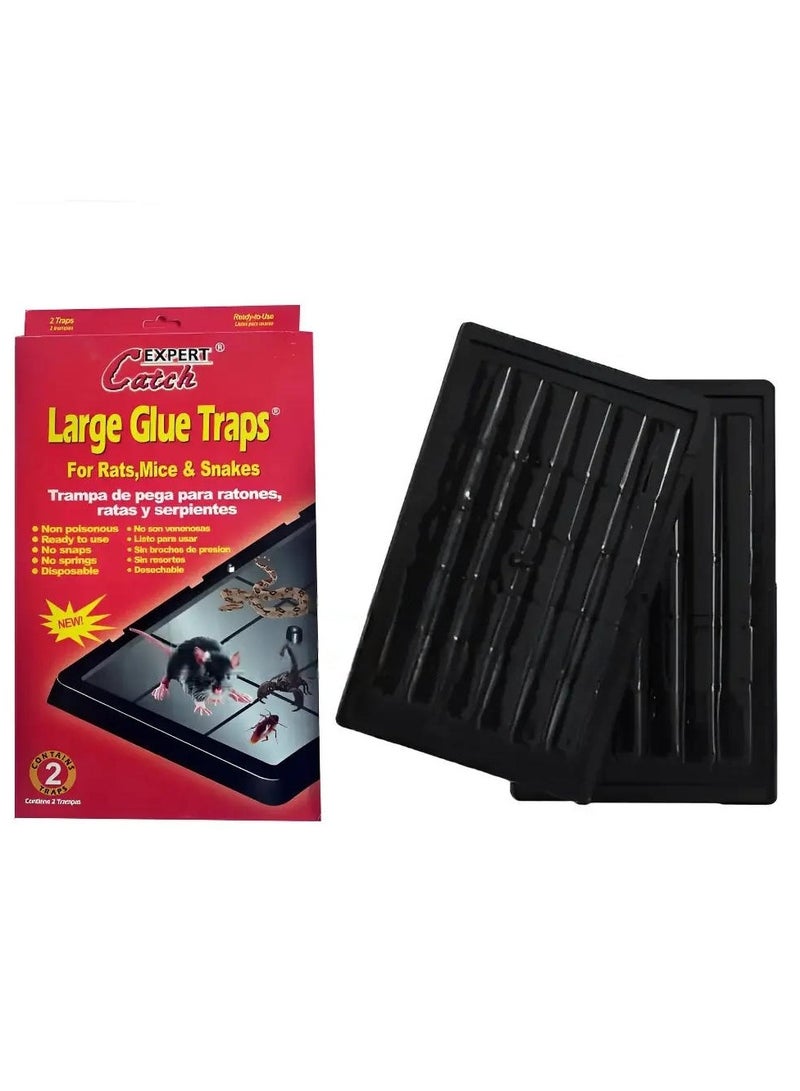 Large Glue Traps for Pests 2pcs Pack - EXPERT Catch