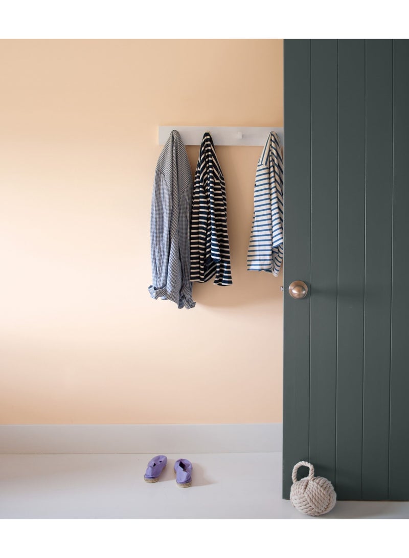 Benjamin Moore Regal Select Interior Paint