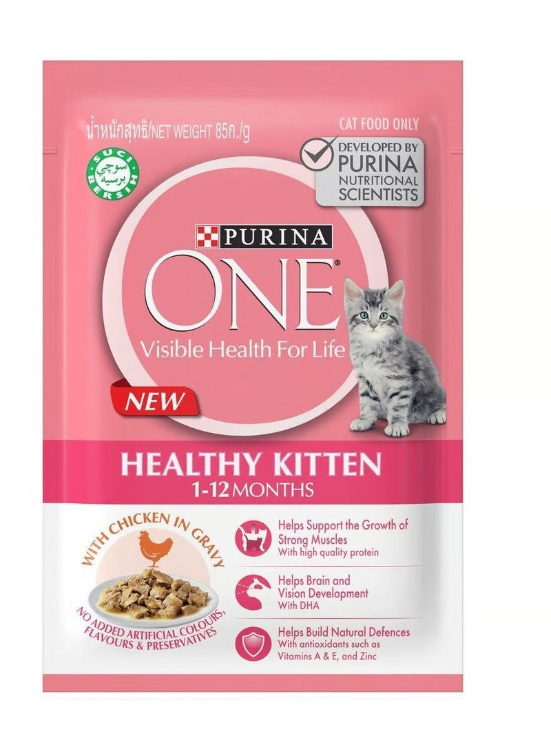 PURINA One Healthy Kitten Food With Chicken