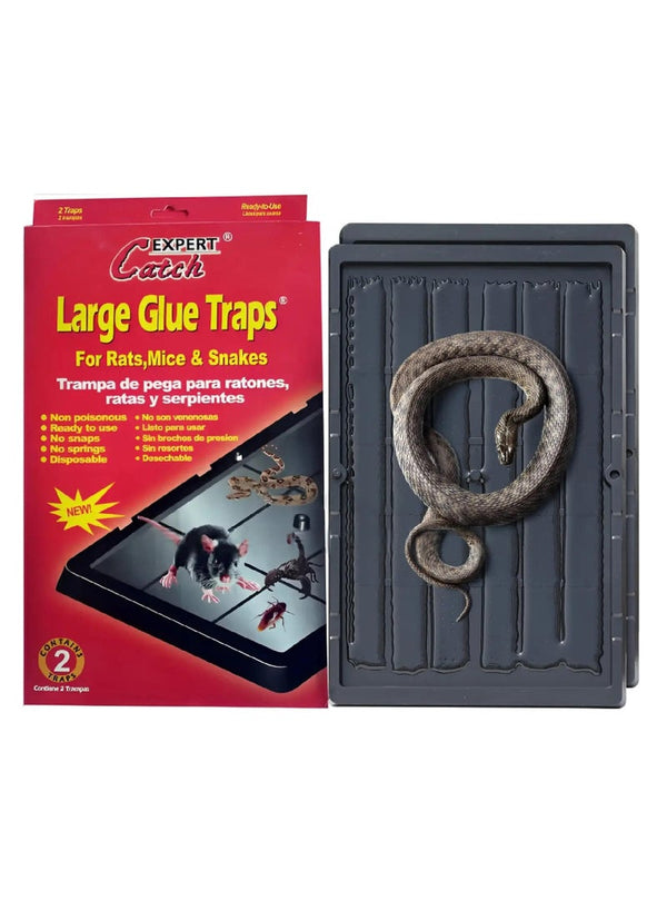 Large Glue Traps for Pests 2pcs Pack - EXPERT Catch
