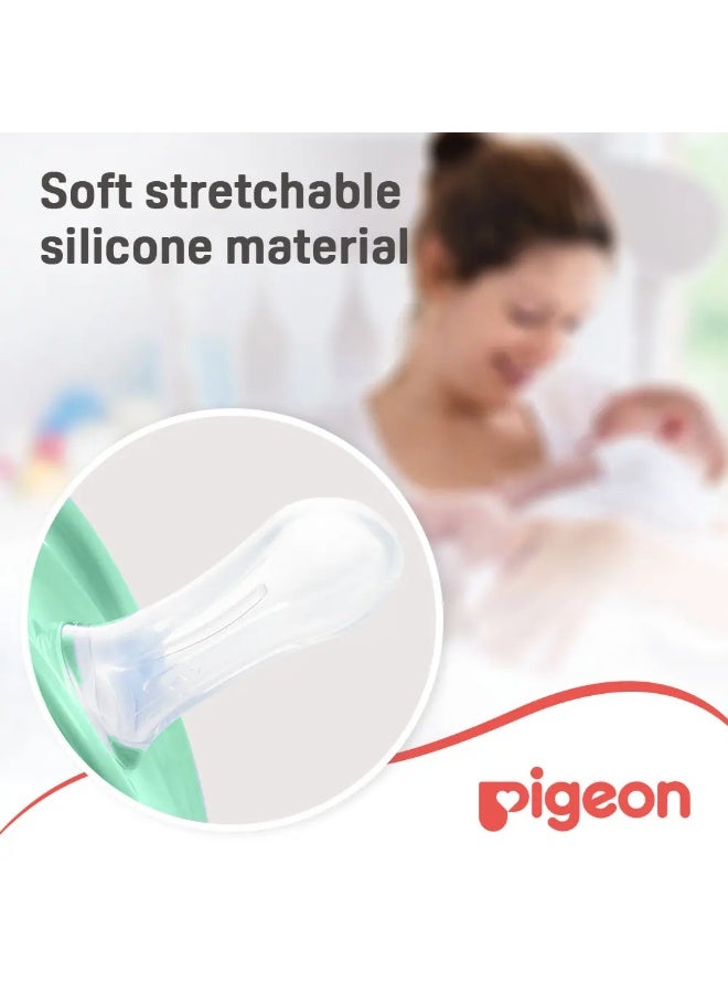 Pigeon Mini Light Dino Egg & Squirrel Pacifier Set