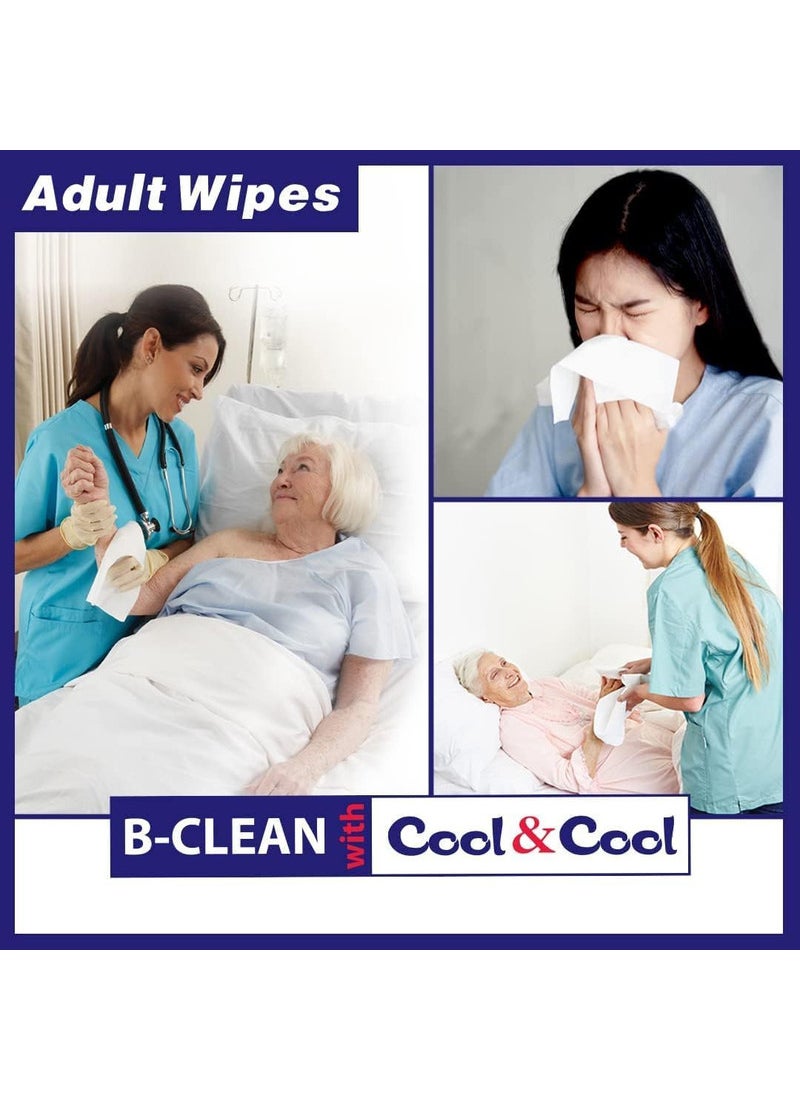 Cool & Cool Anti Bacterial Adult Wipes 40 Wipes