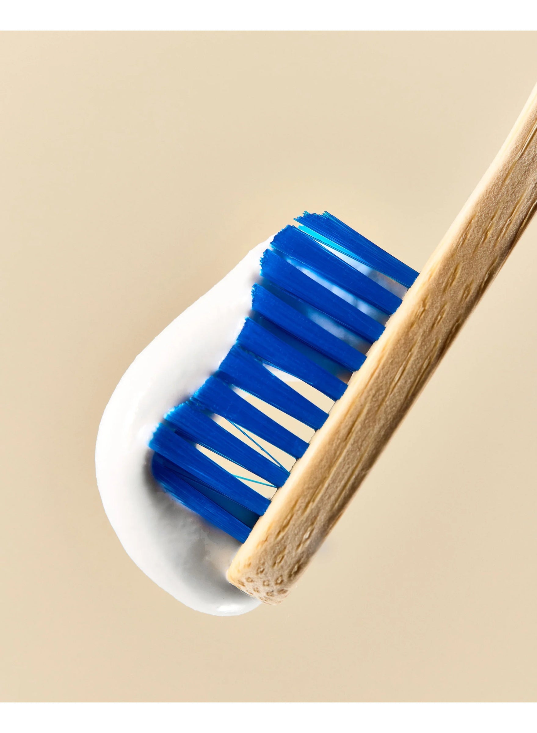adult medium, adult medium humble, bamboo toothbrush, bamboo toothbrush plant, based filaments, based filaments blue, filaments blue, humble bamboo, medium humble, medium humble bamboo, plant based, plant based filaments, the humble co, toothbrush plant,