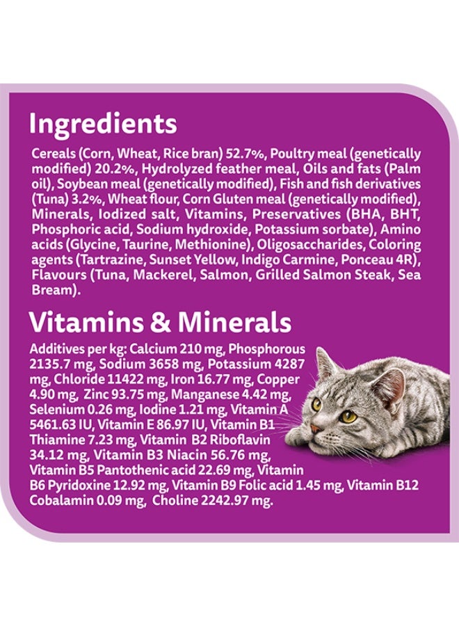 Whiskas Ocean Fish Dry Cat Food 480g