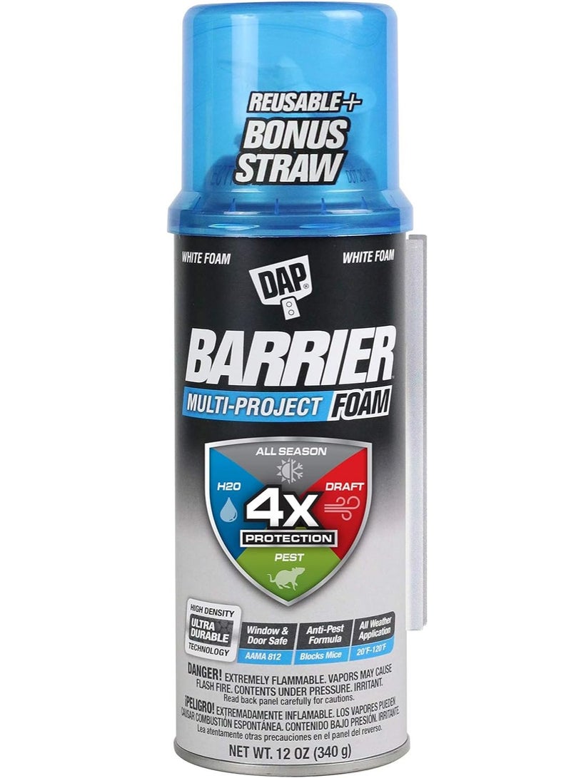 Dap Multi Project Foam Sealant 340 G