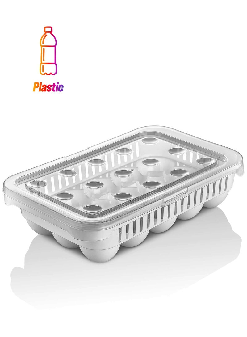 Hobby Life 15 Eggs Storer - Premium Kitchen Storage