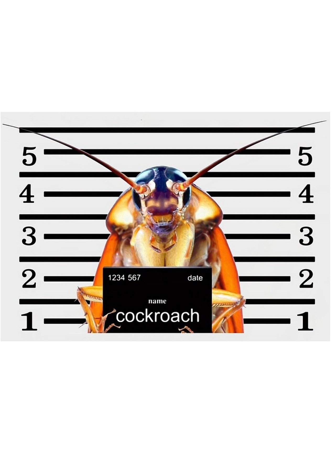 dry place, gel format, gel near, habro goodbye, hide key, keep away, killing gel, pets habro, place gel, place keep, roaches killing, roaches killing gel, seen place, victor roaches, victor roaches killing
