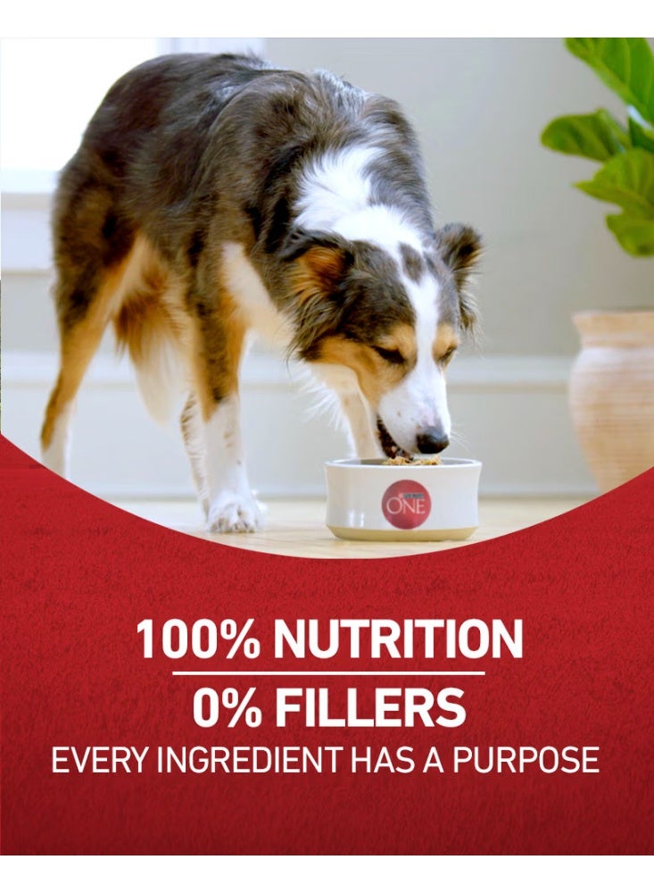 Purina ONE Chicken and Rice Dog Food 1.36 Kg
