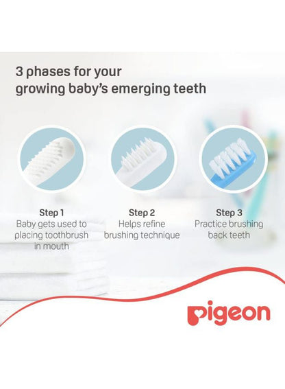 Pigeon 3-Piece Lesson 123 Training Toothbrush Set
