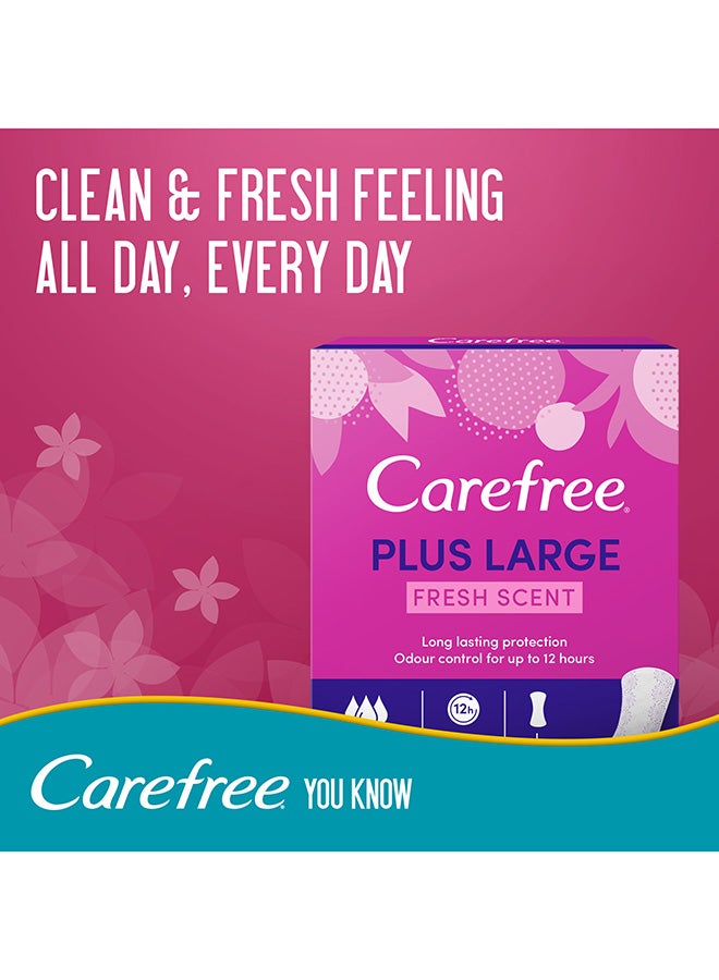 Carefree Panty Liner Plus Fresh Scent Pack of 48