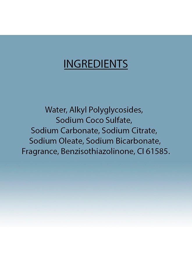 Earth Choice Liquid Detergent 1 Liters