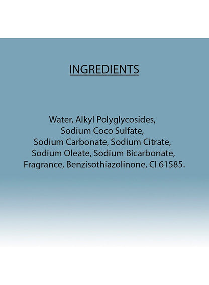 Earth Choice Liquid Detergent 1 Liters
