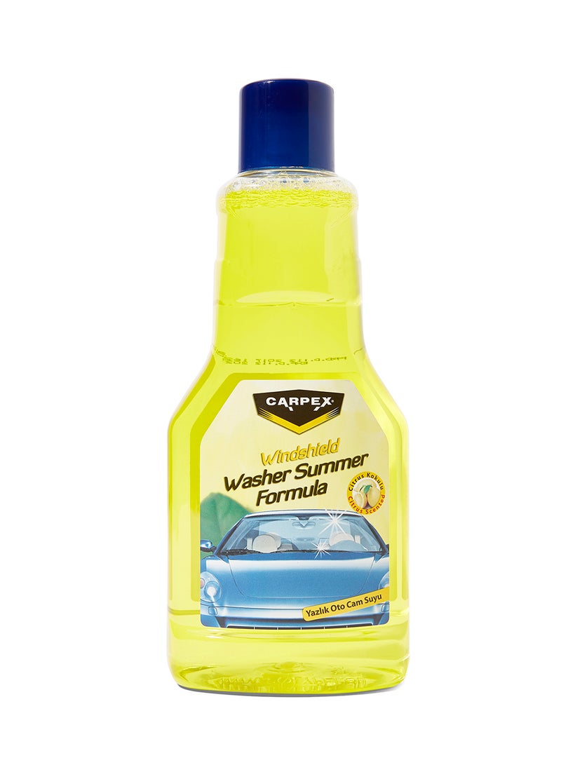 Carpex Windshield Washer Assistant Cleaner