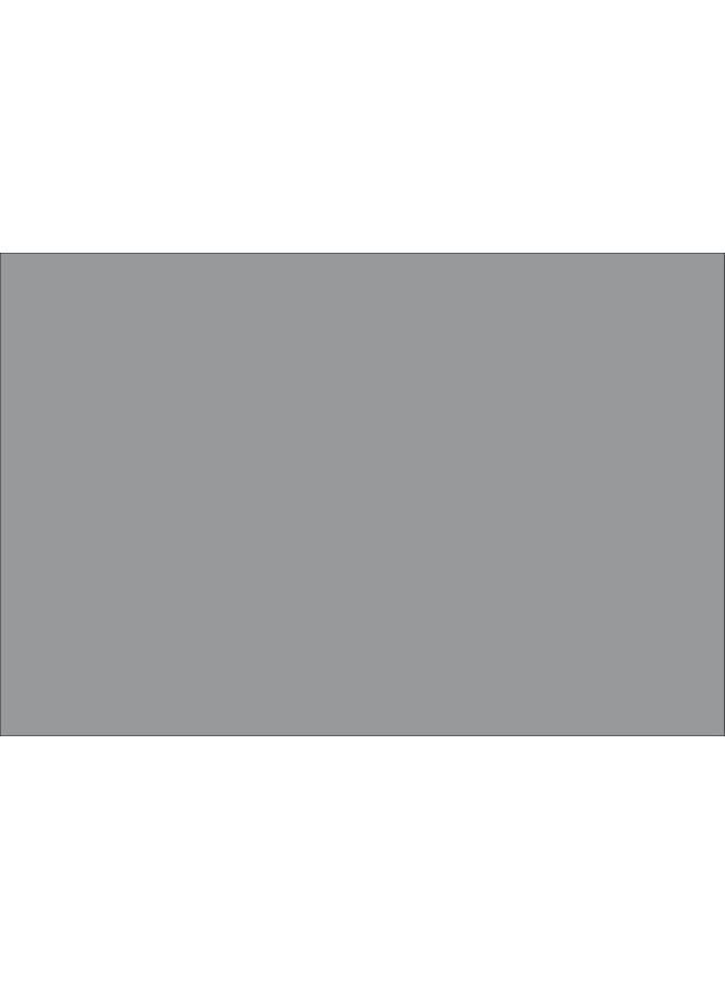 RUST-OLEUM High Heat Primer Spray Paint Grey