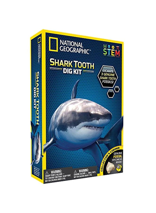 NATIONAL GEOGRAPHIC Shark Tooth Dig Kit With 3 Shark Tooth Fossils