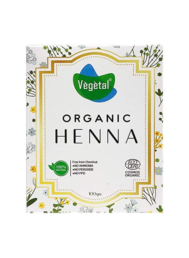 Vegetal Organic Henna White 100g - Premium Hair Care