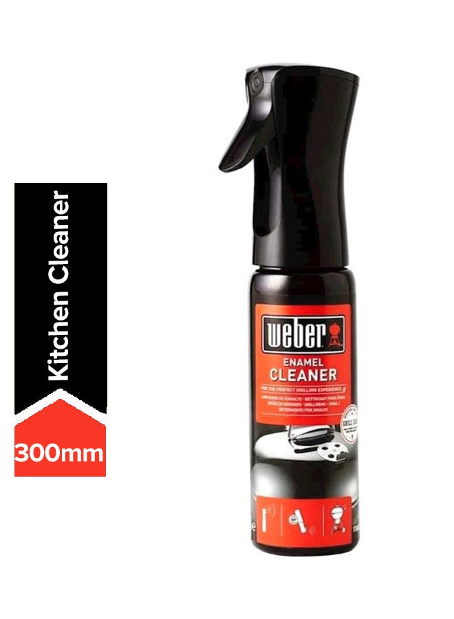 Weber Barbecue Shining Enamel Cleaner Black