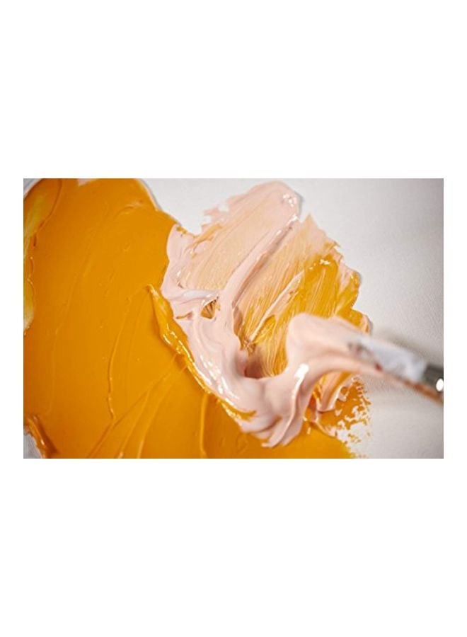 Liquitex Professional Gloss Gel Multicolour