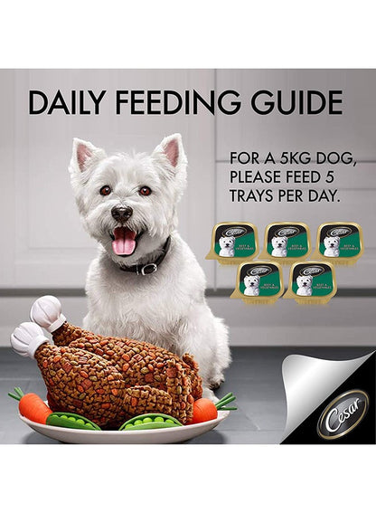 Cesar Beef and Vegetables Wet Dog Food 100g