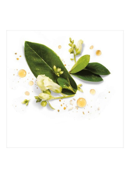 Herbal Essences Smooth Golden Moringa Oil Shampoo