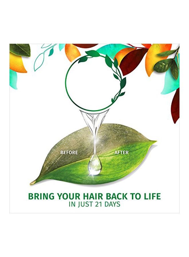 Herbal Essences Golden Moringa Oil Shampoo