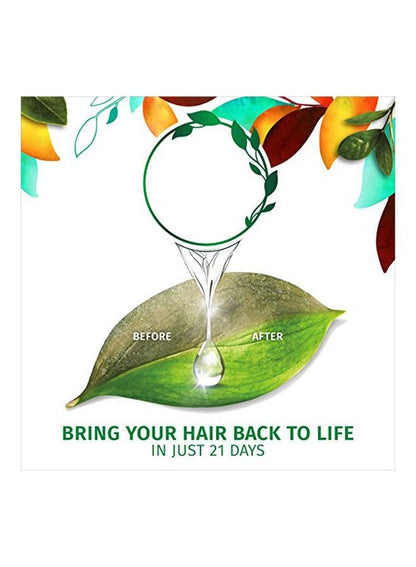 Herbal Essences Golden Moringa Oil Shampoo