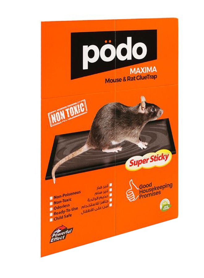 PODO Maxima Mouse Glue Trap Multicolour