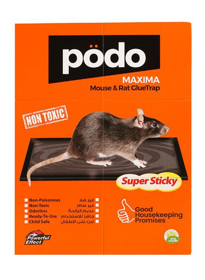 PODO Maxima Mouse Glue Trap Multicolour