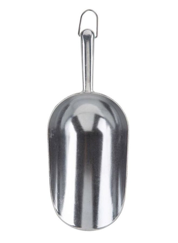 GrillPro Charcoal Scoop Silver 27cm