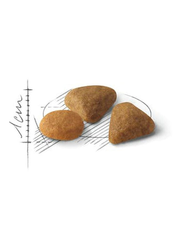ROYAL CANIN Feline Preference Savour 2kg Cat Food
