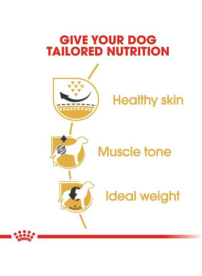 ROYAL CANIN Dry Food For Pug 1.5kg