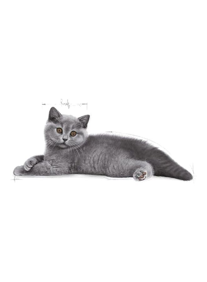 Royal Canin British Shorthair Dry Food 4000g