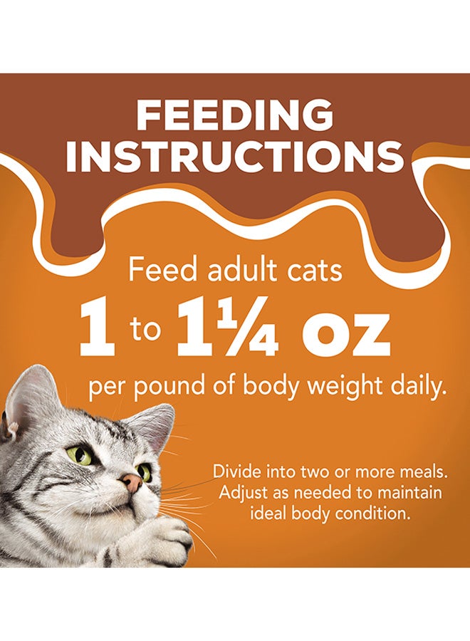 Friskies Chunky Chicken in Gravy 156g - PURINA