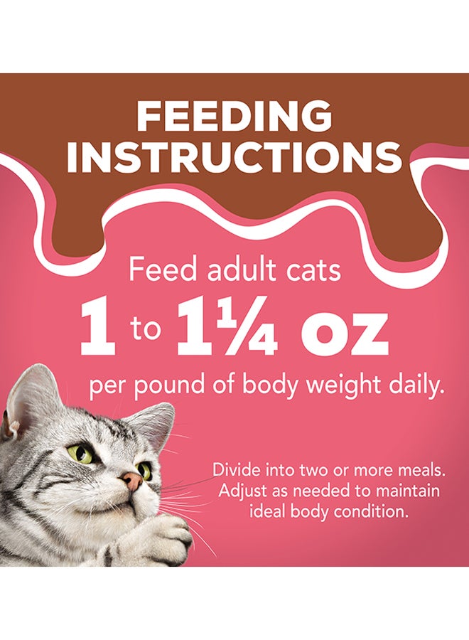 Friskies Extra Gravy Cat Food 156g - PURINA