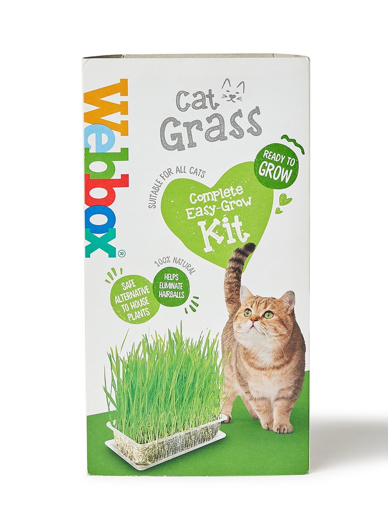 Webbox Cat Grass 120 grams - Premium Pet Supplies