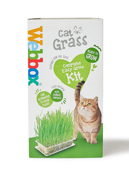 Webbox Cat Grass 120 grams - Premium Pet Supplies