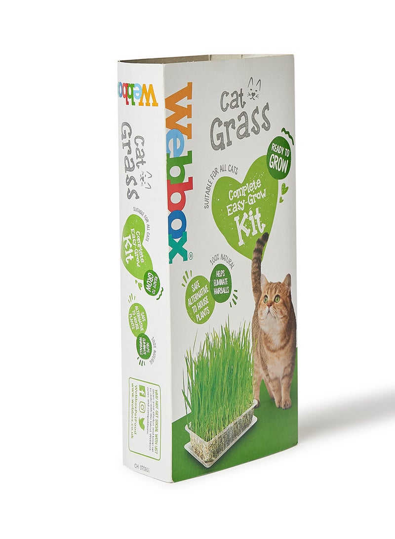 Webbox Cat Grass 120 grams - Premium Pet Supplies