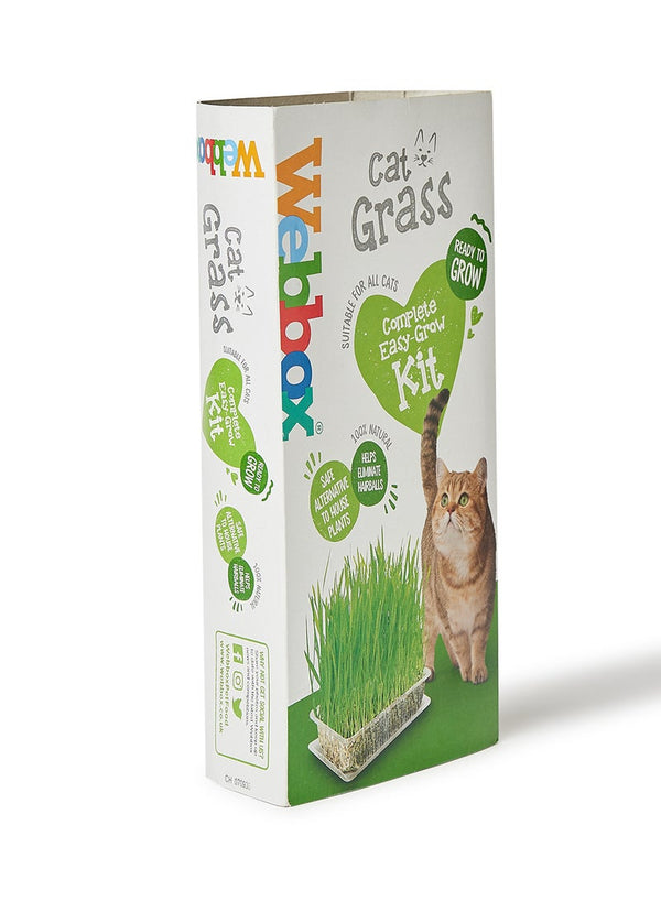 Webbox Cat Grass 120 grams - Premium Pet Supplies