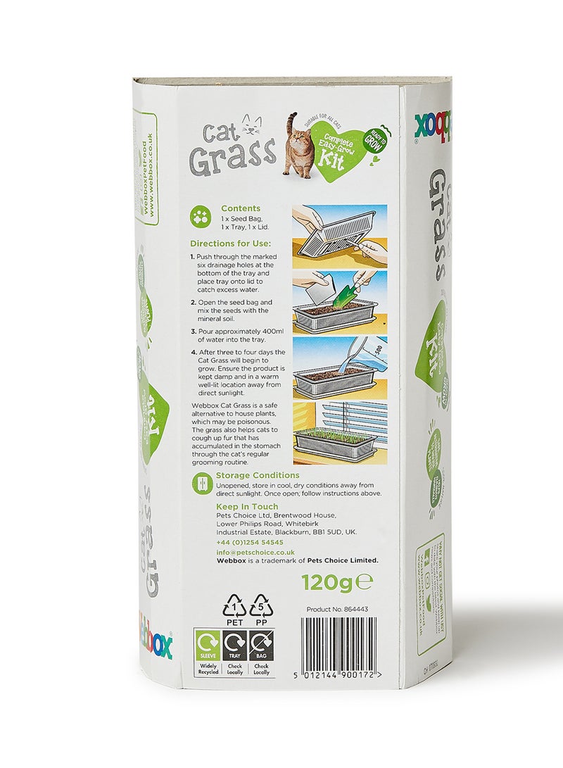 Webbox Cat Grass 120 grams - Premium Pet Supplies