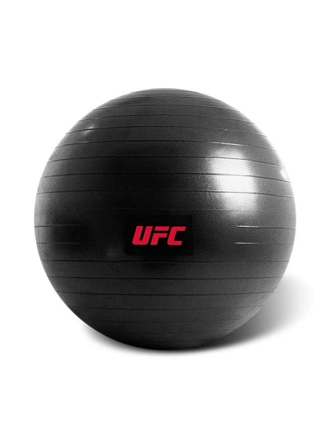 UFC Fitball 75cm - Premium Exercise Ball