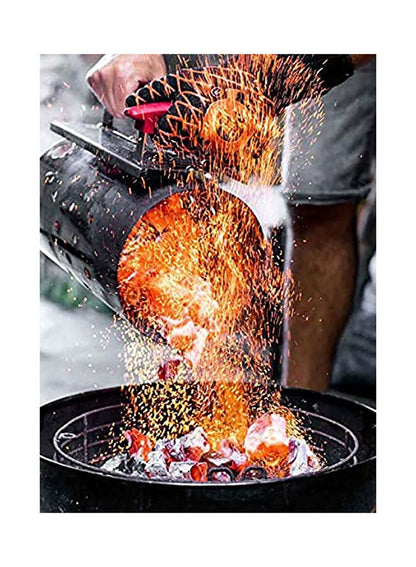 ProQ Charcoal Chimney Starter - Silver 29cm