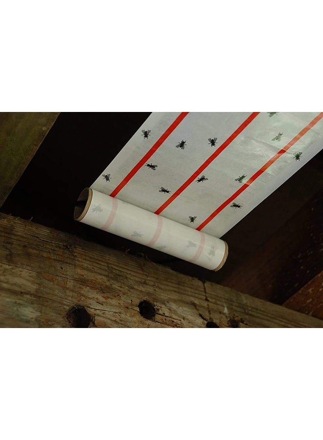STV Xl Sticky Fly Roll 25cm